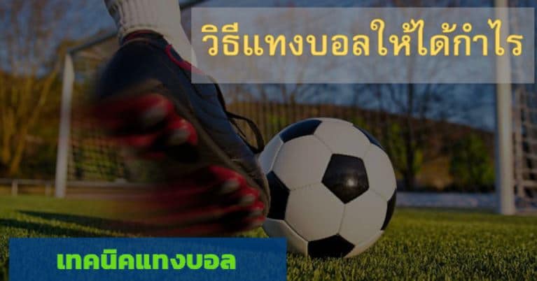 แทงบอลให้ได้กําไร